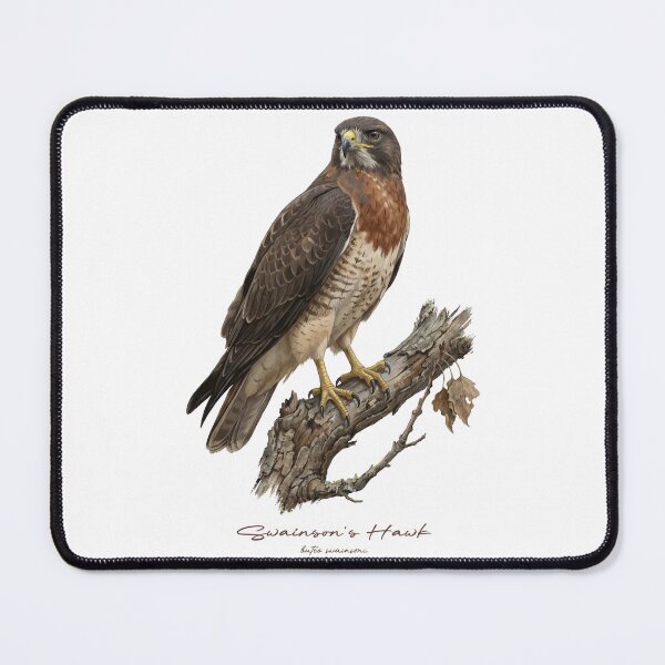Item preview, Swainson's Hawk on Tree designed and sold by Takeda-art.
