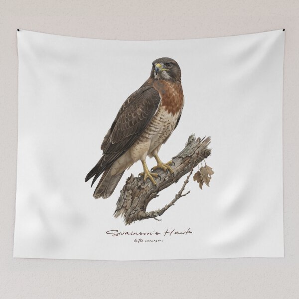 Item preview, Swainson's Hawk on Tree designed and sold by Takeda-art.