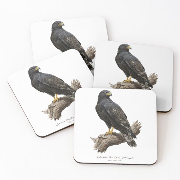 Item preview, Zone-tailed Hawk on Branch designed and sold by Takeda-art.
