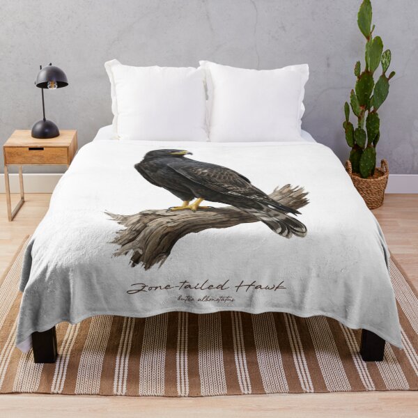 Item preview, Zone-tailed Hawk on Branch designed and sold by Takeda-art.