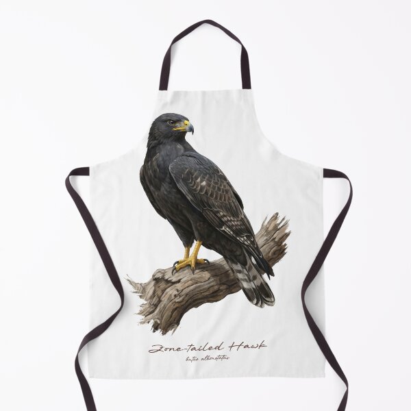 Item preview, Zone-tailed Hawk on Branch designed and sold by Takeda-art.