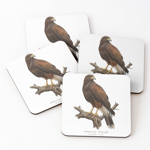 Item preview, Harris Hawk on Branch designed and sold by Takeda-art.