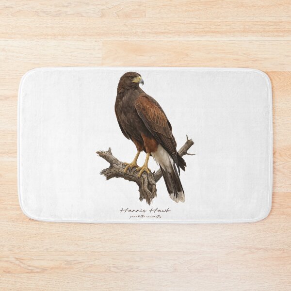 Item preview, Harris Hawk on Branch designed and sold by Takeda-art.