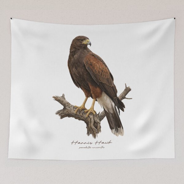 Item preview, Harris Hawk on Branch designed and sold by Takeda-art.
