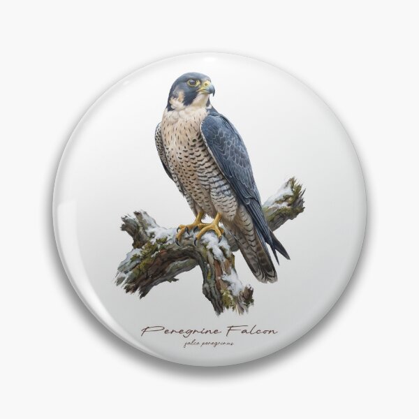 Item preview, Peregrine Falcon on Snow Covered Tree designed and sold by Takeda-art.