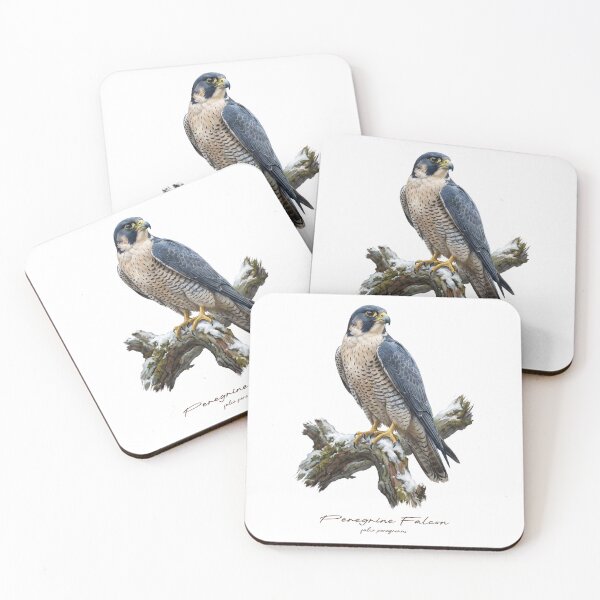 Item preview, Peregrine Falcon on Snow Covered Tree designed and sold by Takeda-art.