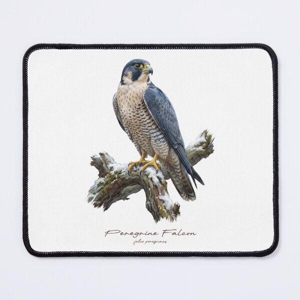 Item preview, Peregrine Falcon on Snow Covered Tree designed and sold by Takeda-art.