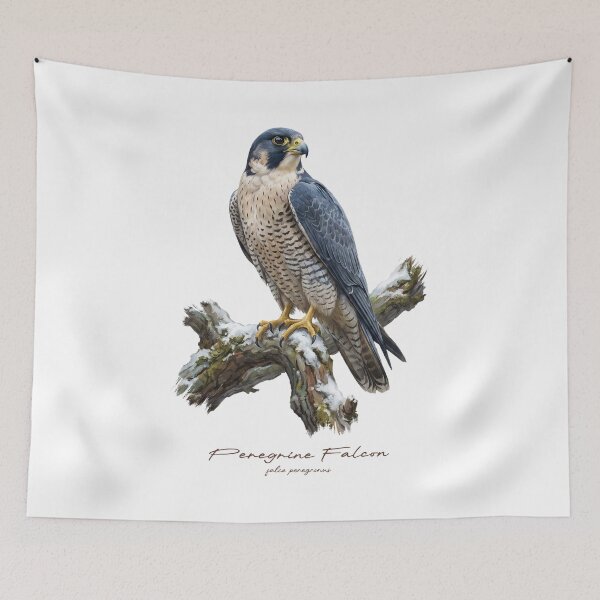 Item preview, Peregrine Falcon on Snow Covered Tree designed and sold by Takeda-art.