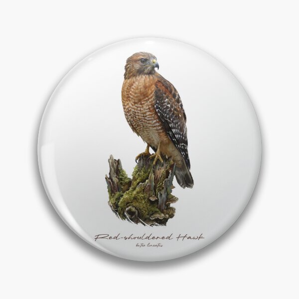 Item preview, Red-shouldered Hawk on Mossy Stump designed and sold by Takeda-art.