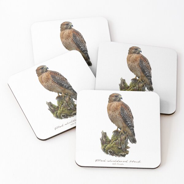 Item preview, Red-shouldered Hawk on Mossy Stump designed and sold by Takeda-art.
