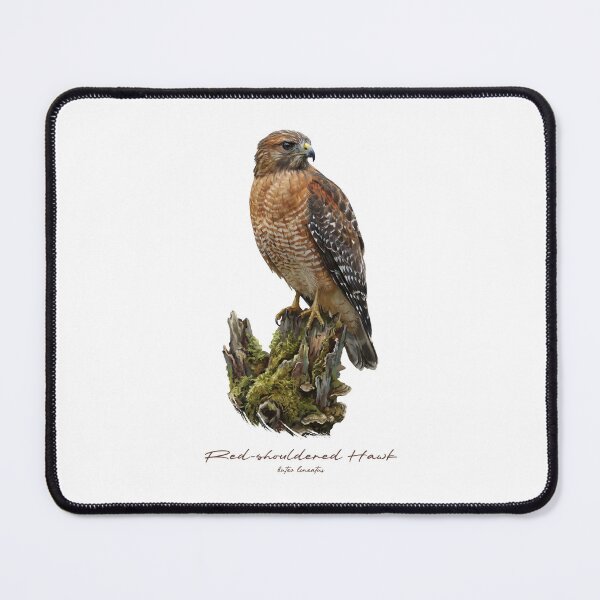 Item preview, Red-shouldered Hawk on Mossy Stump designed and sold by Takeda-art.