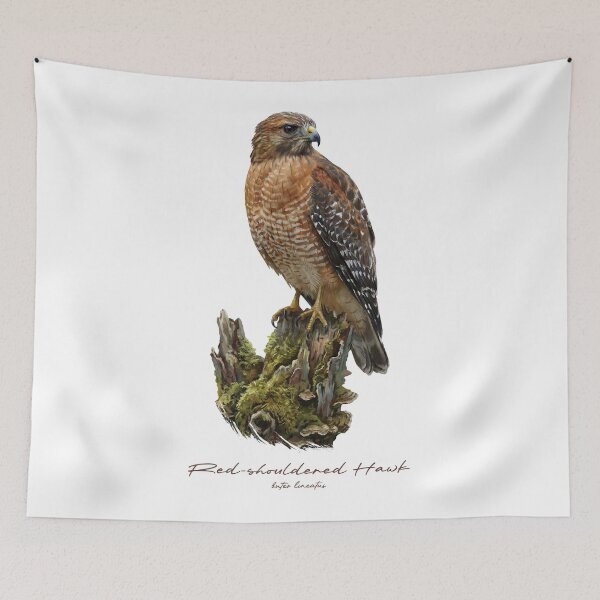 Item preview, Red-shouldered Hawk on Mossy Stump designed and sold by Takeda-art.