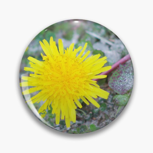 Item preview, Yellow Dandelion in Bloom designed and sold by Cynthia48.