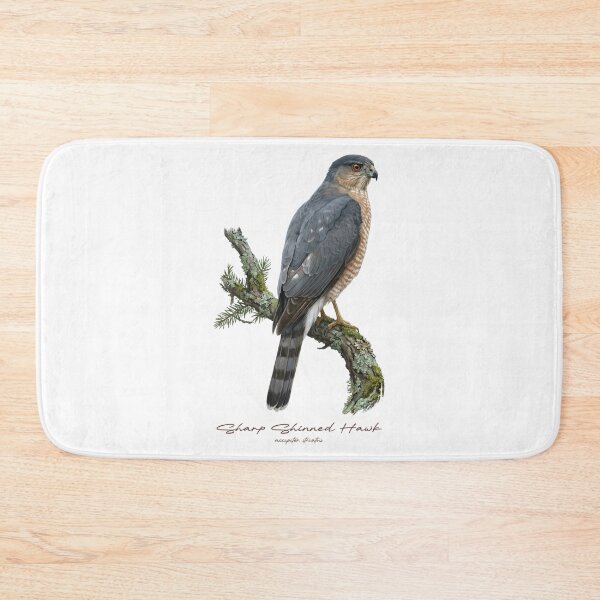 Item preview, Sharp Shinned Hawk on Rustic Mossy Branch designed and sold by Takeda-art.