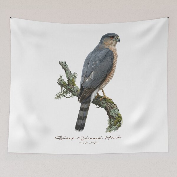 Item preview, Sharp Shinned Hawk on Rustic Mossy Branch designed and sold by Takeda-art.