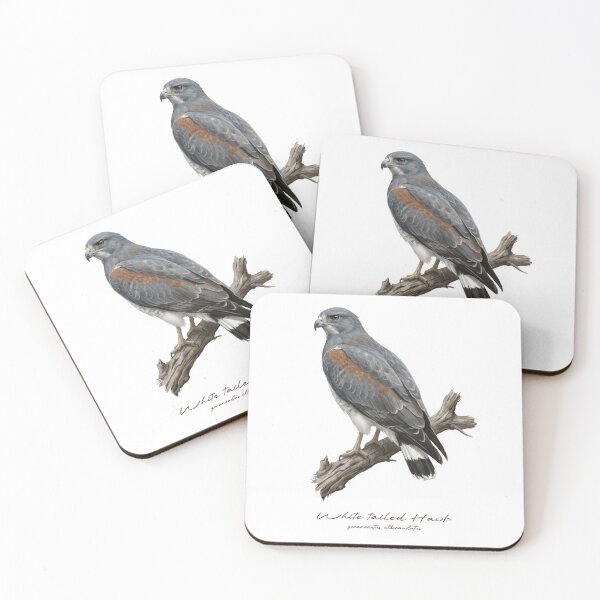 Item preview, White tailed Hawk on Branch designed and sold by Takeda-art.
