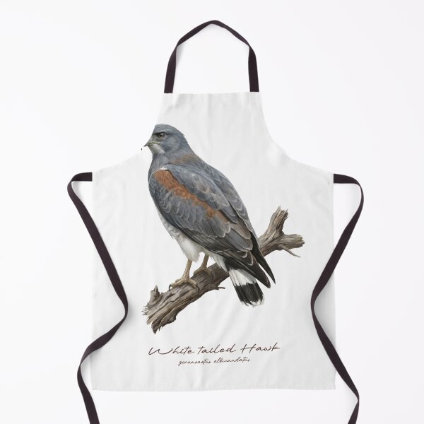 Item preview, White tailed Hawk on Branch designed and sold by Takeda-art.