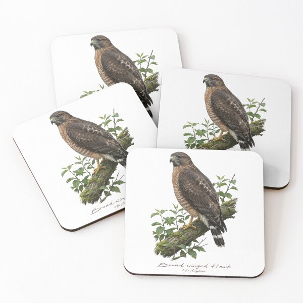 Item preview, Broad-winged Hawk on Leafy Branch designed and sold by Takeda-art.