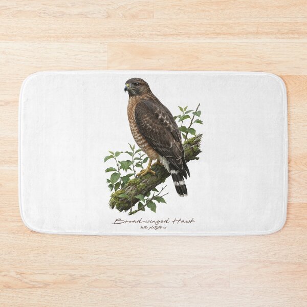 Item preview, Broad-winged Hawk on Leafy Branch designed and sold by Takeda-art.