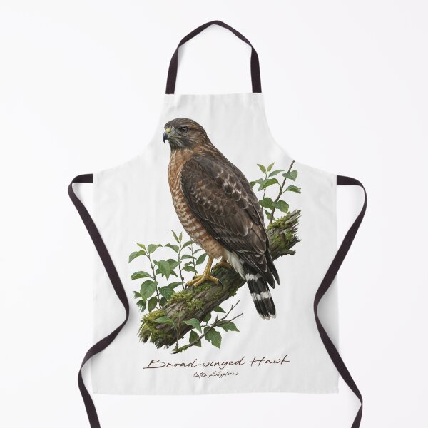 Item preview, Broad-winged Hawk on Leafy Branch designed and sold by Takeda-art.