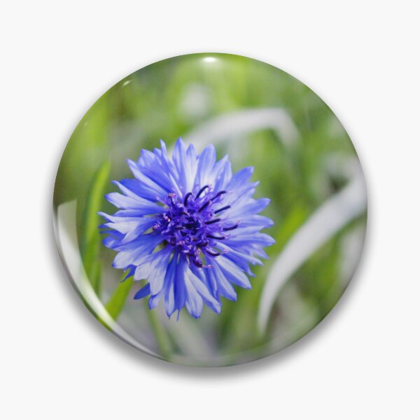 Item preview, Blue Cornflower Close-up designed and sold by Cynthia48.