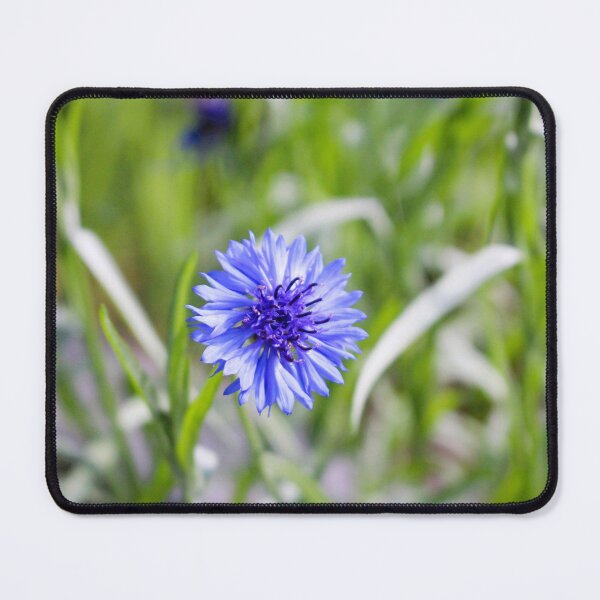Item preview, Blue Cornflower Close-up designed and sold by Cynthia48.