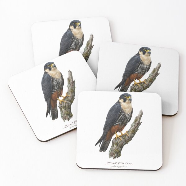 Item preview, Bat Falcon on Mossy Branch designed and sold by Takeda-art.