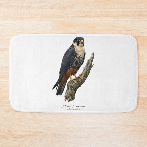 Item preview, Bat Falcon on Mossy Branch designed and sold by Takeda-art.