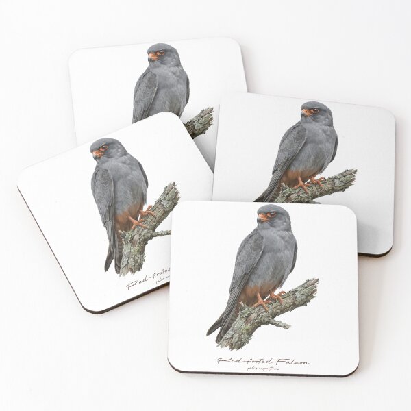 Item preview, Red-footed Falcon on Rustic Branch designed and sold by Takeda-art.