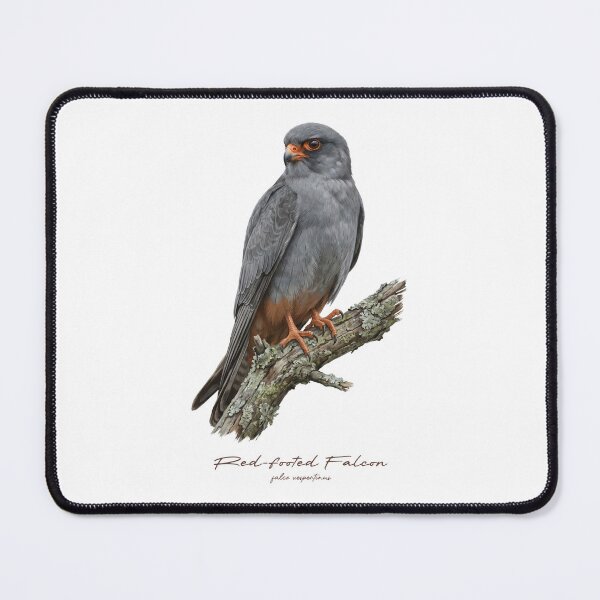 Item preview, Red-footed Falcon on Rustic Branch designed and sold by Takeda-art.