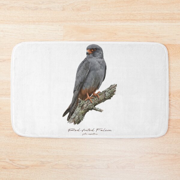 Item preview, Red-footed Falcon on Rustic Branch designed and sold by Takeda-art.