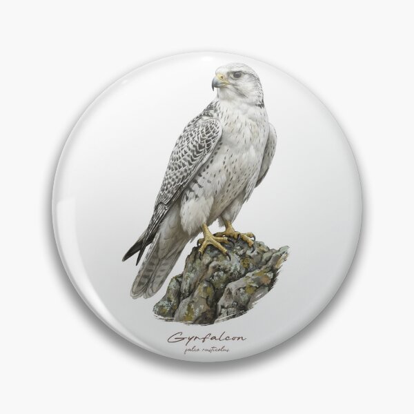 Item preview, White Falcon on Mossy Rock  designed and sold by Takeda-art.