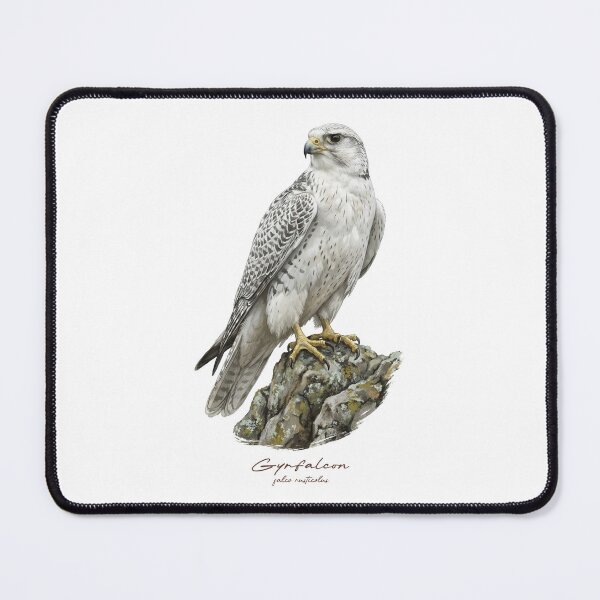 Item preview, White Falcon on Mossy Rock designed and sold by Takeda-art.