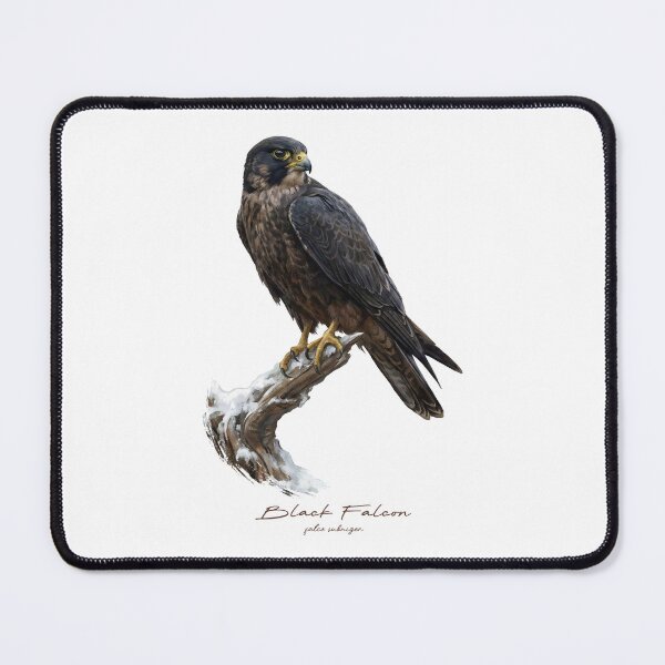 Item preview, Black Falcon on Snow Covered Branch designed and sold by Takeda-art.