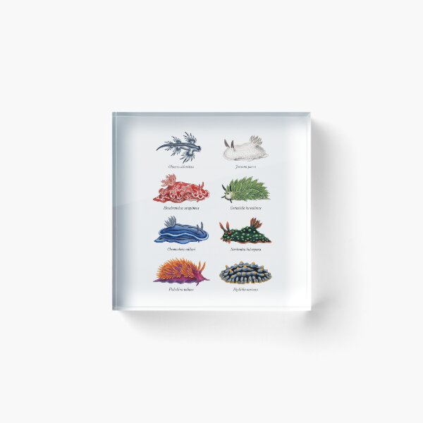 Item preview, Sea Slugs designed and sold by ArunDandiboina.