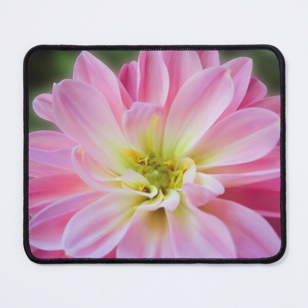 Item preview, Colorful Joy In The Garden designed and sold by hurmerinta.