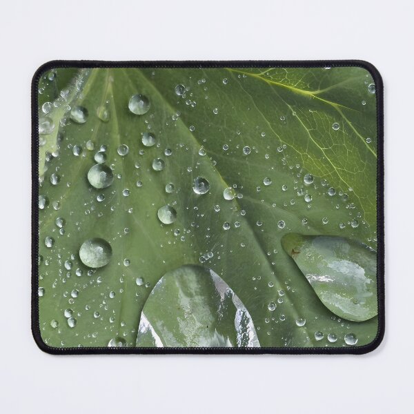 Item preview, Morning Dewdrops - Green Leaf Macro Photography designed and sold by Sir Martin.