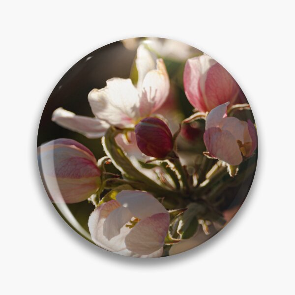 Item preview, Apple tree in bloom designed and sold by likiska.