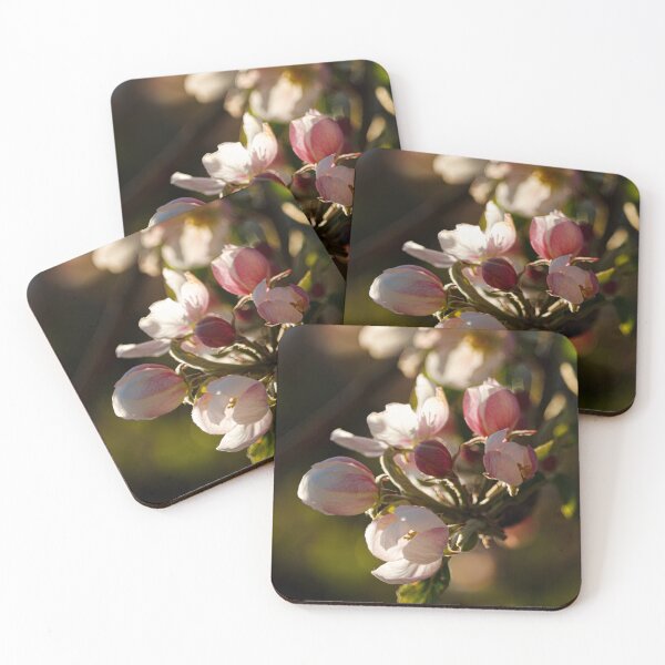 Item preview, Apple tree in bloom designed and sold by likiska.