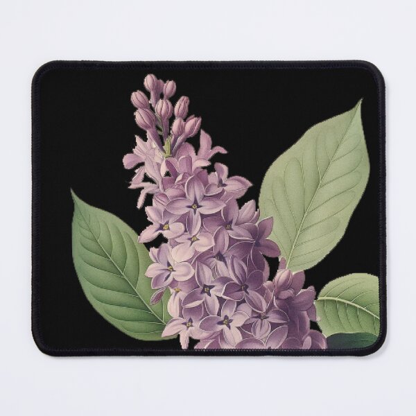 Item preview, Detailed Botanical Illustration of a Purple Lilac Branch in Full Bloom with Green Leaves designed and sold by Analog Aura .