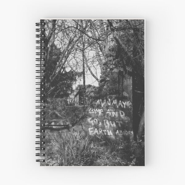 Item preview, "man may come and go, but the earth abides" art at Cardross Seminary (Scotland) (april 2026) designed and sold by photosbykel.
