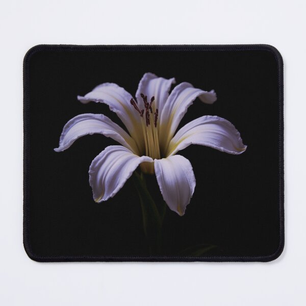 Item preview, White Lily on Black Background — Elegant Botanical Floral Photography Print Wall Art Poster designed and sold by CunningMaskPrints.