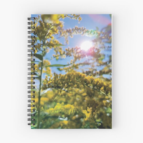 Item preview, Bright goldenrod in the sunlight designed and sold by MiPa78.