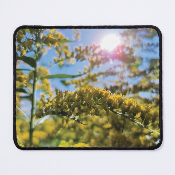 Item preview, Bright goldenrod in the sunlight designed and sold by MiPa78.