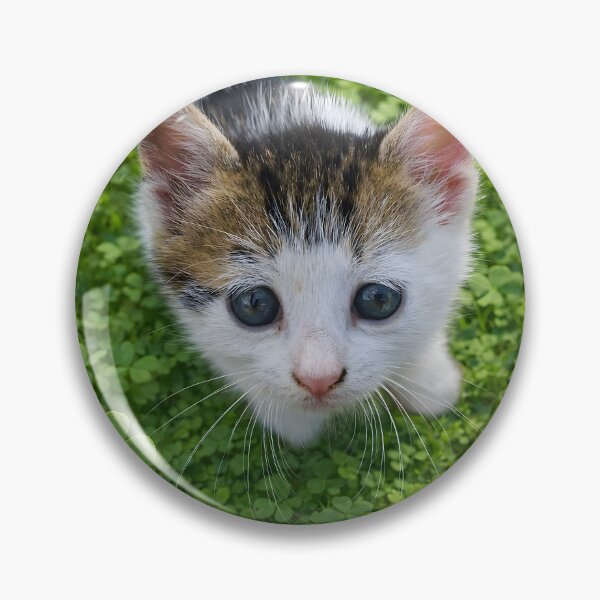 Item preview, Cute Curious Kitten  designed and sold by inspiration3.