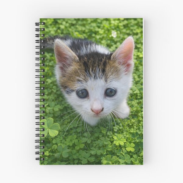 Item preview, Cute Curious Kitten  designed and sold by inspiration3.