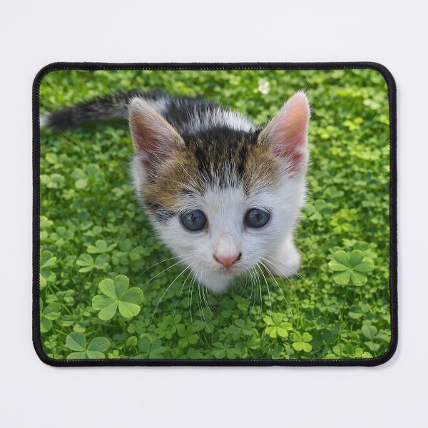 Item preview, Cute Curious Kitten designed and sold by inspiration3.