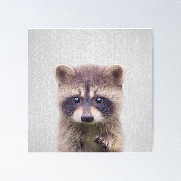 Minimalist Raccoon Wall Art for Sale