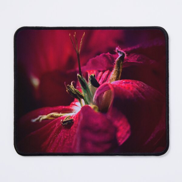 Item preview, Inside the Bud — Deep Red Dark Floral Macro designed and sold by WitchyBotanicaArt.