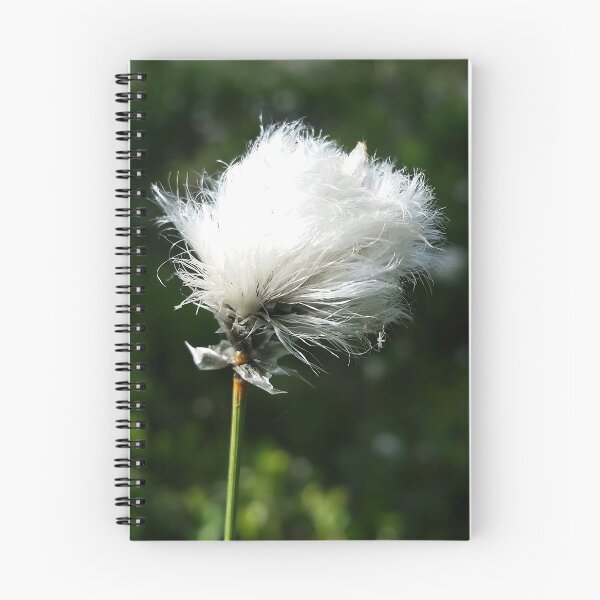Item preview, Fluffy Flower Seeds designed and sold by CalmnessbyChoice.